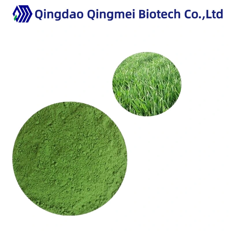 Water Soluble Wholesale Price 200 Mesh Organic Green Barley Grass Powder