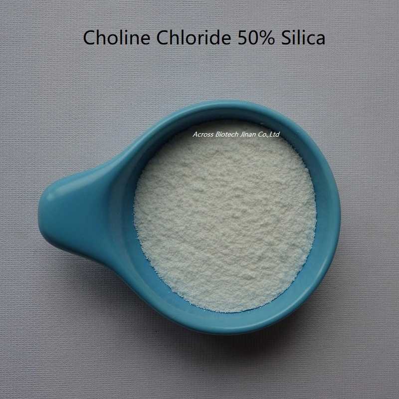 Bulk Stock Feed Grade Choline Chloride 50%/C5h14clno Price