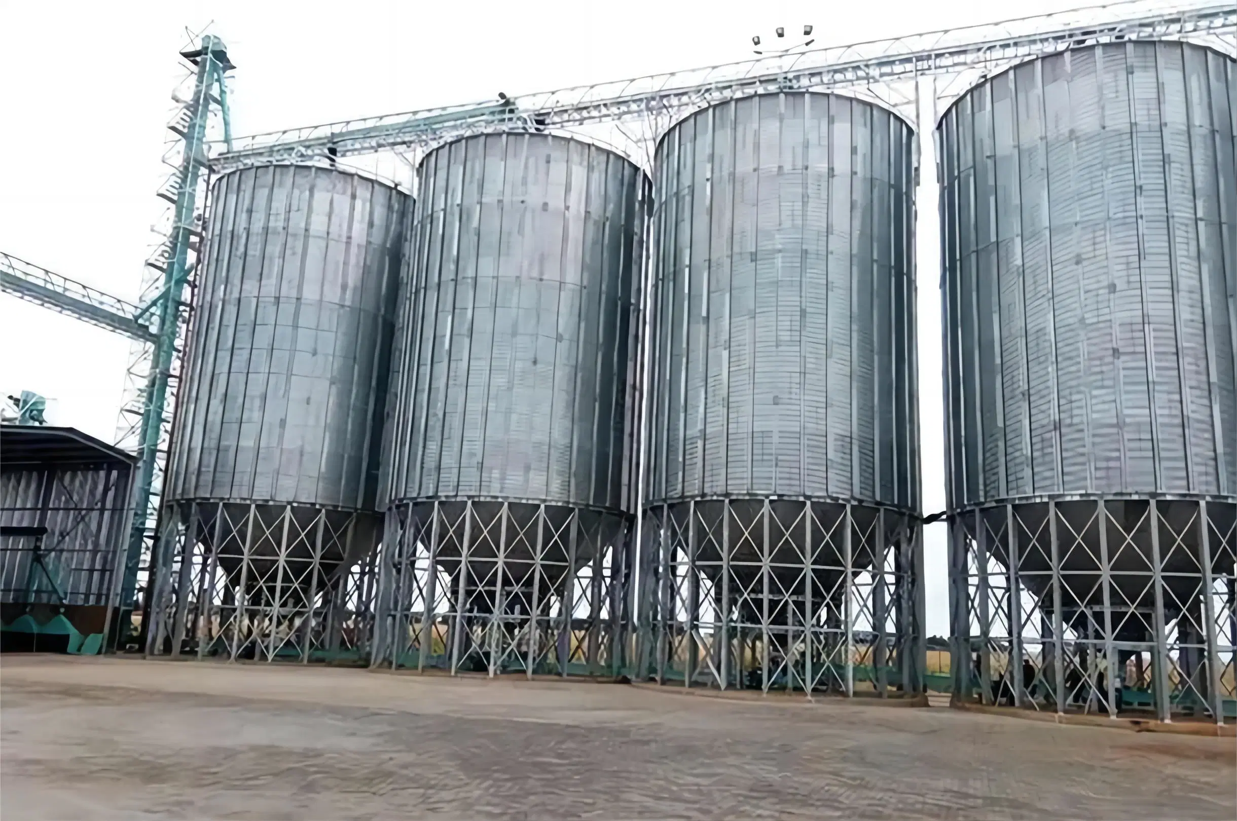 500t Galvanizing Steel Grain Silo for Paddy Storage