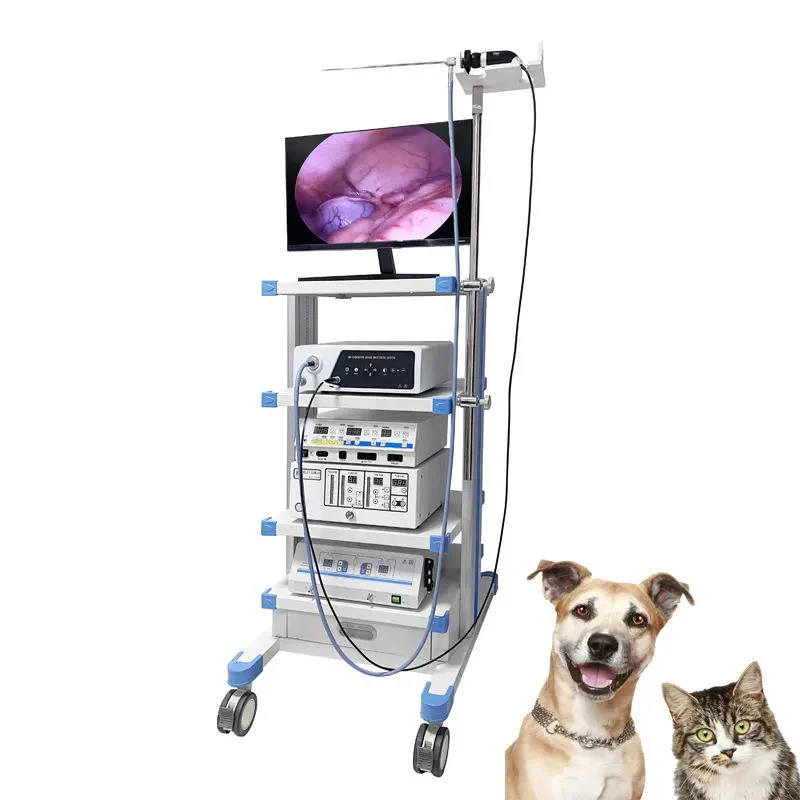 Medical Endoscopy Endoscopic Veterinary Fiber Flexible Camera Vet Endoscope