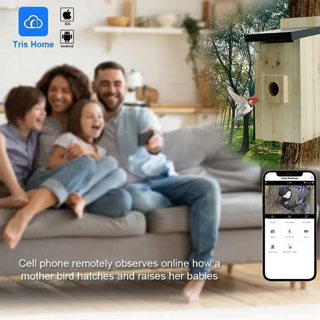 Intelligent Visual Wooden Bird House/Nest Cameras Mobile Remote Observation