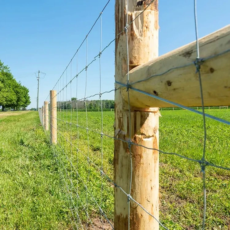 Gado de fazenda Fence arame de criação Fence com Prairie Farm Fence