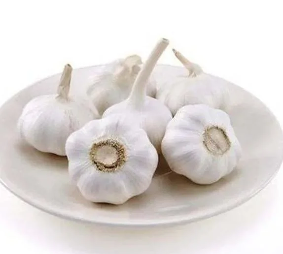 Pure White Garlic 4.5cm 5.0cm 5.5cm 6.0cm 6.5cm Fresh Garlic