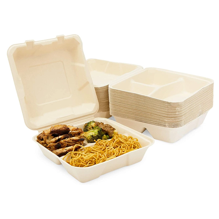 Fast Food Packaging Sugar Cane Bento Lunch Box Bagasse Pulp Disposable 2 Compartment