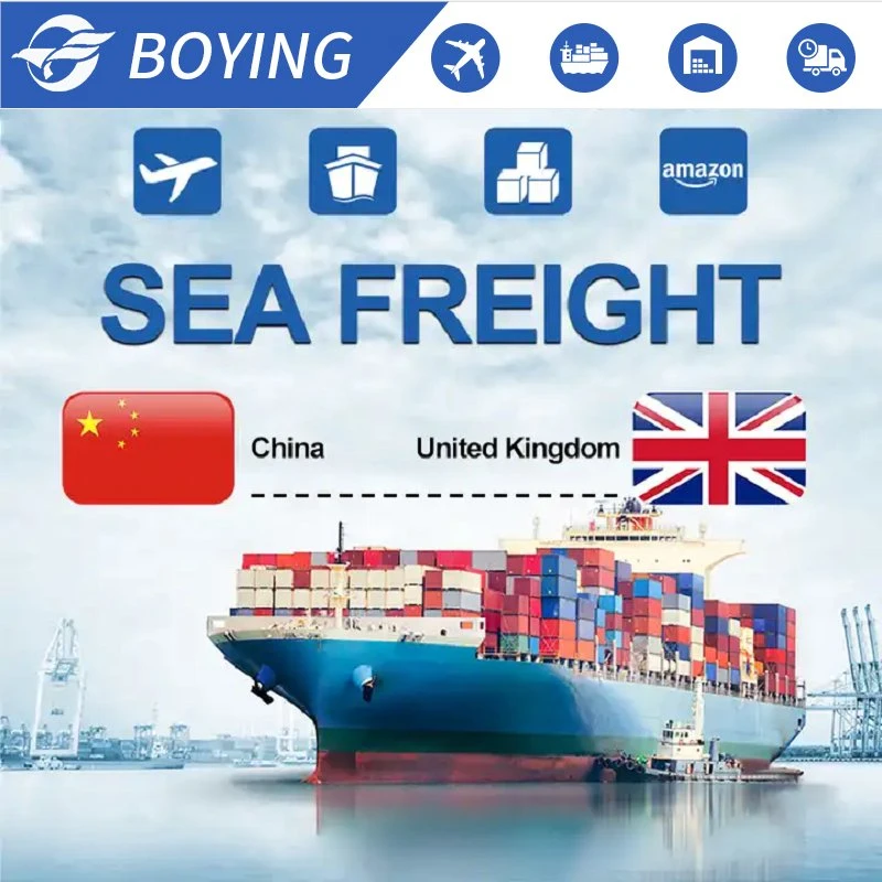 Safe and Professional Freight Forwarder Sea Shipping Agent Door to Door Service From China to USA UK Europe