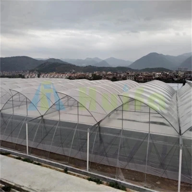 Agriculture Farm Single-Span Film Greenhouse