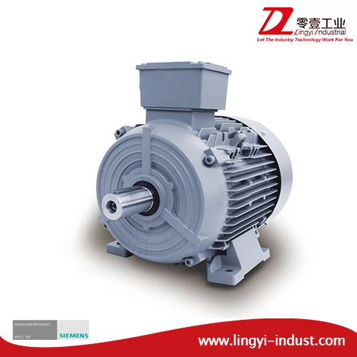 Ce Approved Single Phase Induction Motor AC Motor Electric Motor for Jet Aerator Manufacture