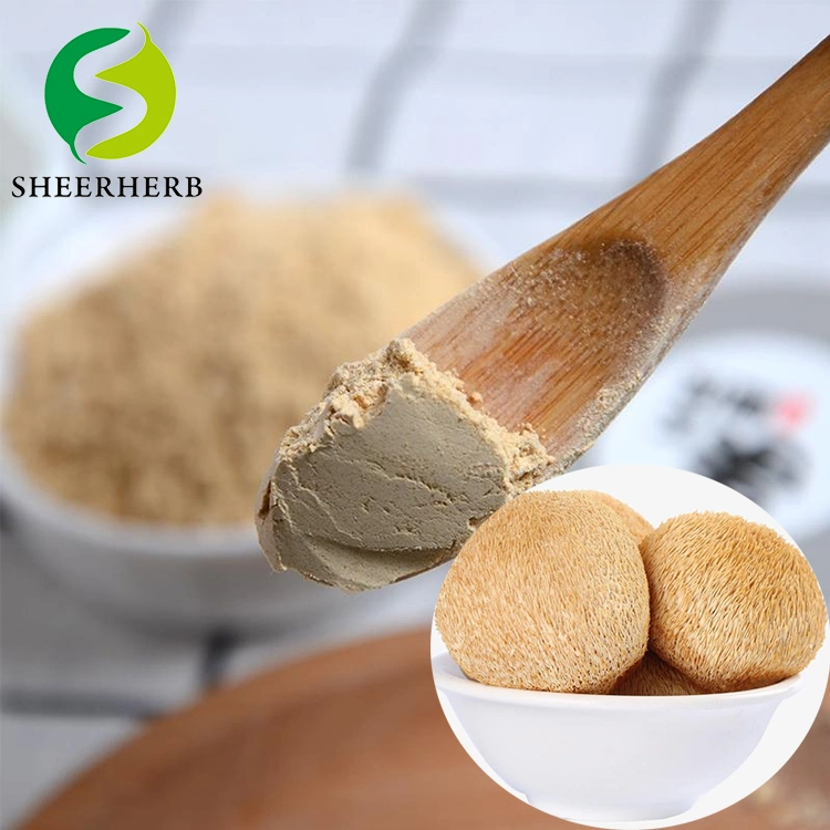 Wholesale/Supplier Price High-Quality Hot-Selling Hericium Erinaceus Extract Anti-Cancer and Blood Pressure Lowering Herbal Medicine