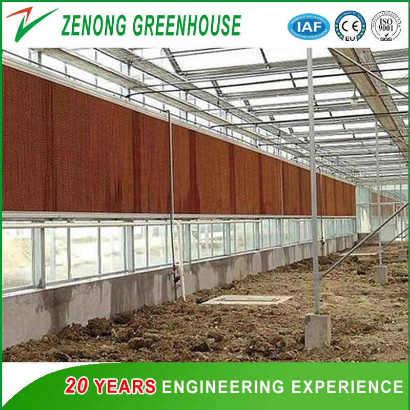 Corrugated Paper Wet Pad for Poultry/Agriculture Farming/Greenhouse Air Cooling Down