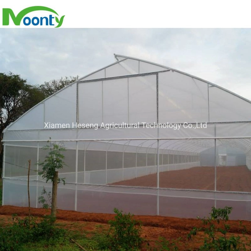 Agricoles bon marché Poly Film travée unique tunnel serre avec l'Irrigation et système de culture hydroponique de fleur de légumes Plantes médicales