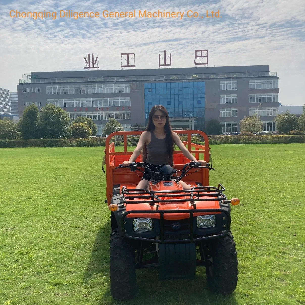 229.3cc Rated Load 300kg ATV Quad Bike Mini Electric Car