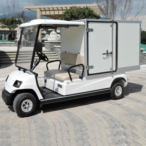 Carrito de golf eléctrico de 2 personas Hotel Coches