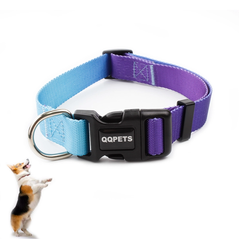 Luxury Durable Cozy Soft Webbing Metal Pet Collar Custom Color Dog Lead