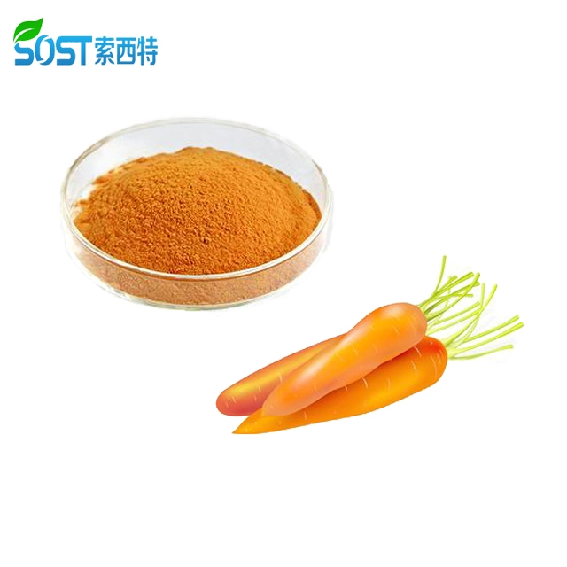 Wholesale/Supplier China Product 100% Natural Beta-Carotene Price