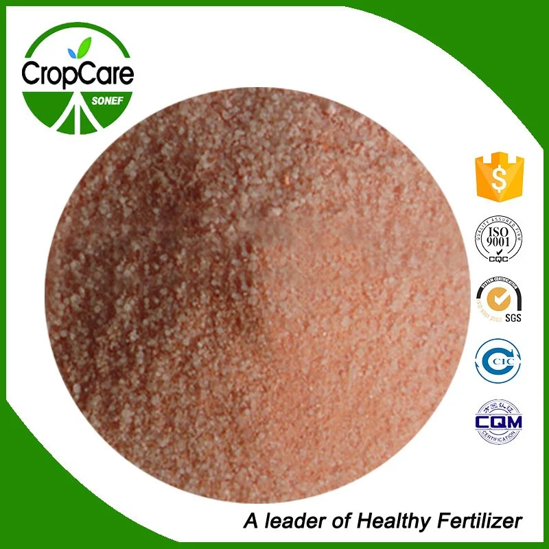 Agriculture Hot Sale Granular NPK Fertilizer 28-8-8 Wsf with Factory Price