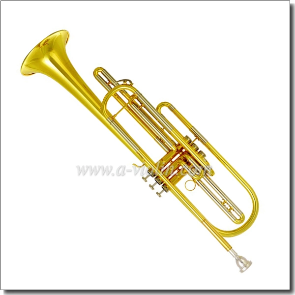 Желтый латунный Leadpipe Bb ключ Bass трубчатых производителя (TP8920)
