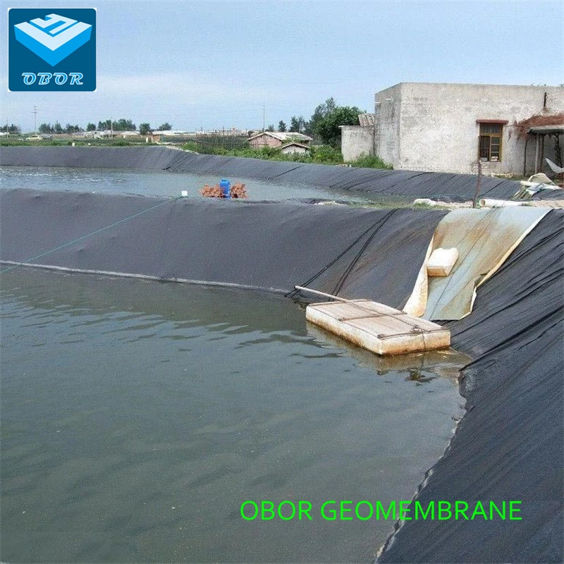 ASTM Gri GM13 Standard HDPE Geomembrane for Aquaculture Project