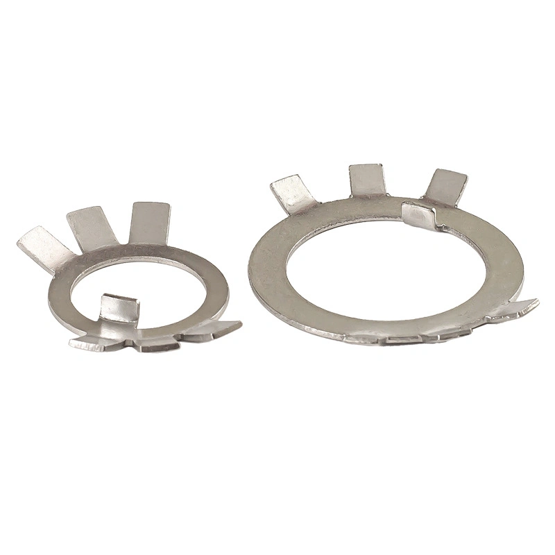 Hch OEM Customization GB858 304 Stainless Steel Round Nut Stop Washers