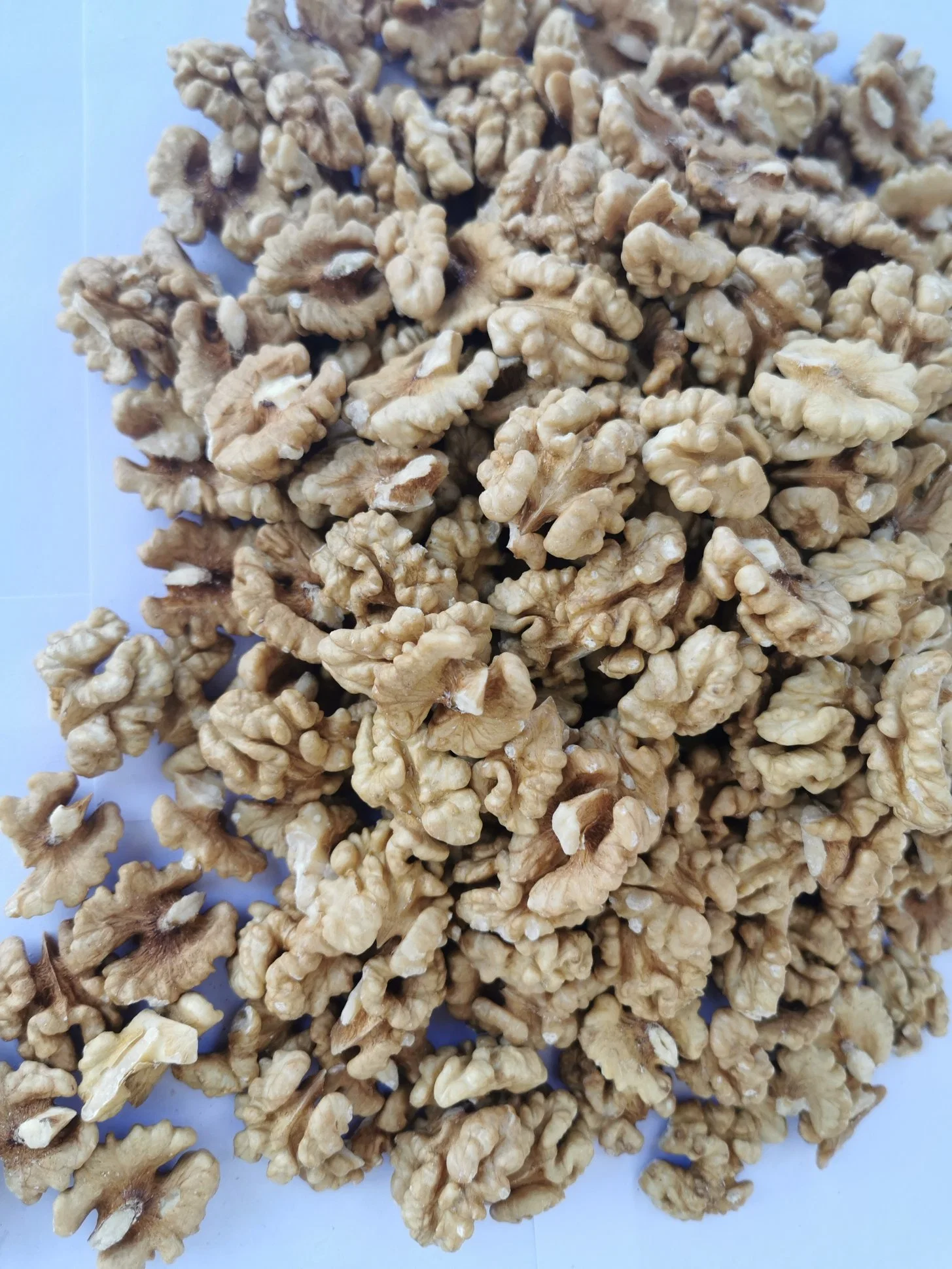 Sweet Walnuts Kernels Peeled Dried Fruits Halves Butterfly Extra Light Raw Nuts Wholesale/Supplier