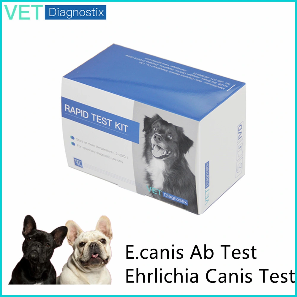 Prueba de la Ehrlichia canino Ehrlichia canis Prueba rápida de anticuerpos