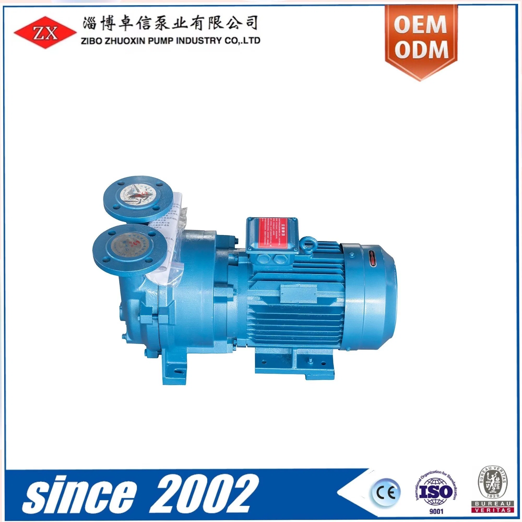 Chinese Direct Coupled Small Electric Motor Water Ring Vacuum Pump for Sale