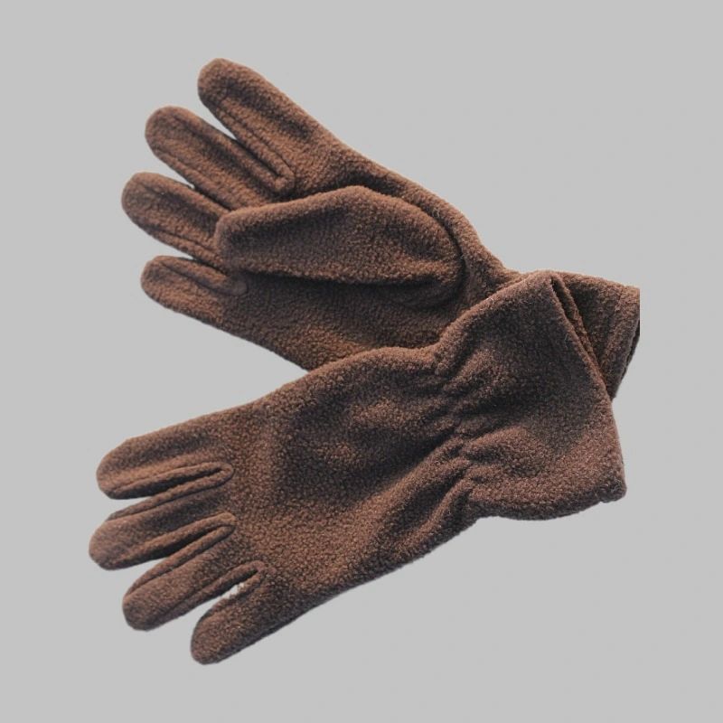 Popular Outdoor Ski Sports Cheap Thermal Warm Polar Fleece Gloves for Cold Winter