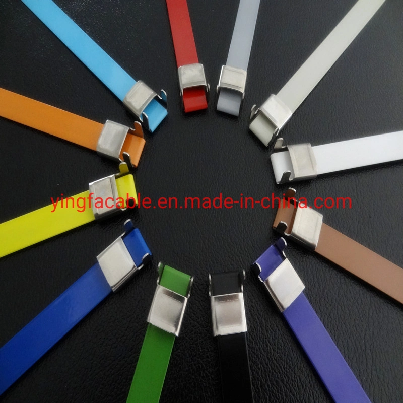 Various Colors Epoxy Coated Stainless Steel Belt /PVC Cated / PPA571 / Nylon 11