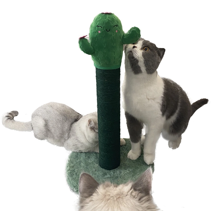 Neues Design Haustier Spielzeug Kaktus Stofftiere für Katze