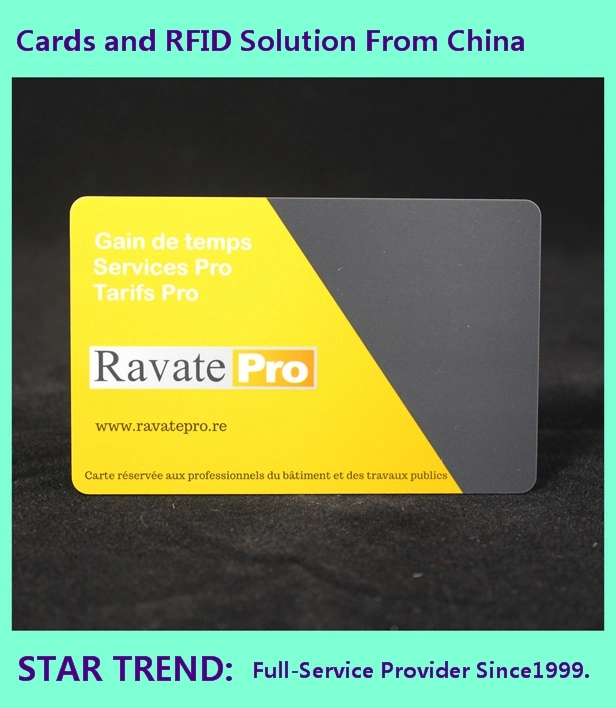 Plastic Gift Card in Credit Card Size with Perfect Printing Shanghai Star Trend