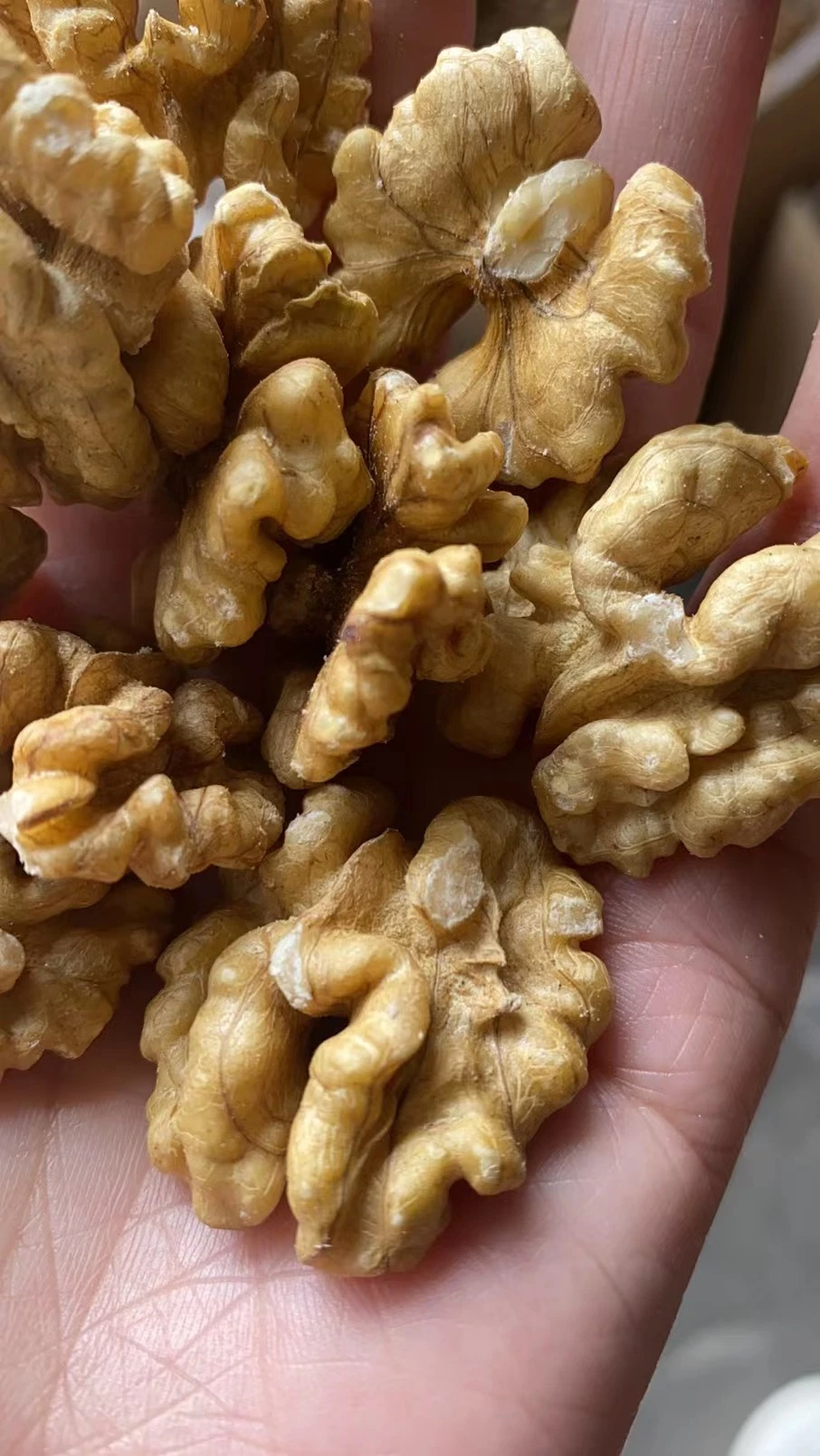 Walnut Kernels Without Shell 100% Natural Healthy Food Thin Skin Walnuts in Shell Yunnan Type