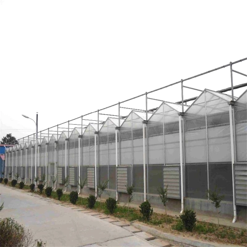 Muti-span Film Greenhouse kommerzielle Hydroponics System Green Houses for Sale