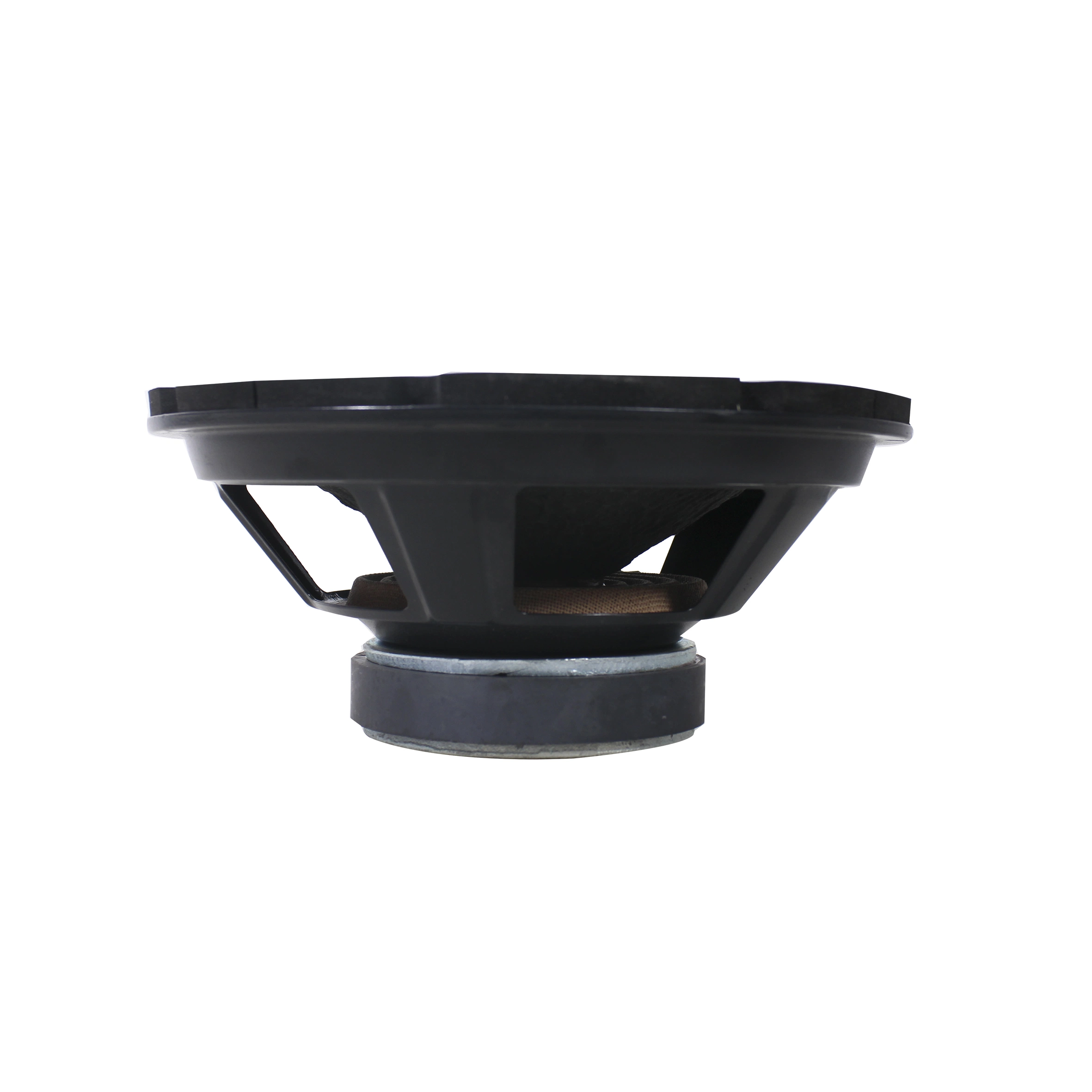 150W 10 Inch Subwoofer Speaker Driver for Home Audio System, Public Address Broadcasting System