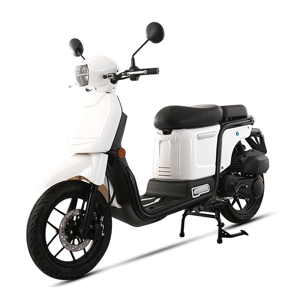 Single and Double Seat Large and Small Carrier Can Be Selected Electric Scooter Digital Speedometer Motorcycle