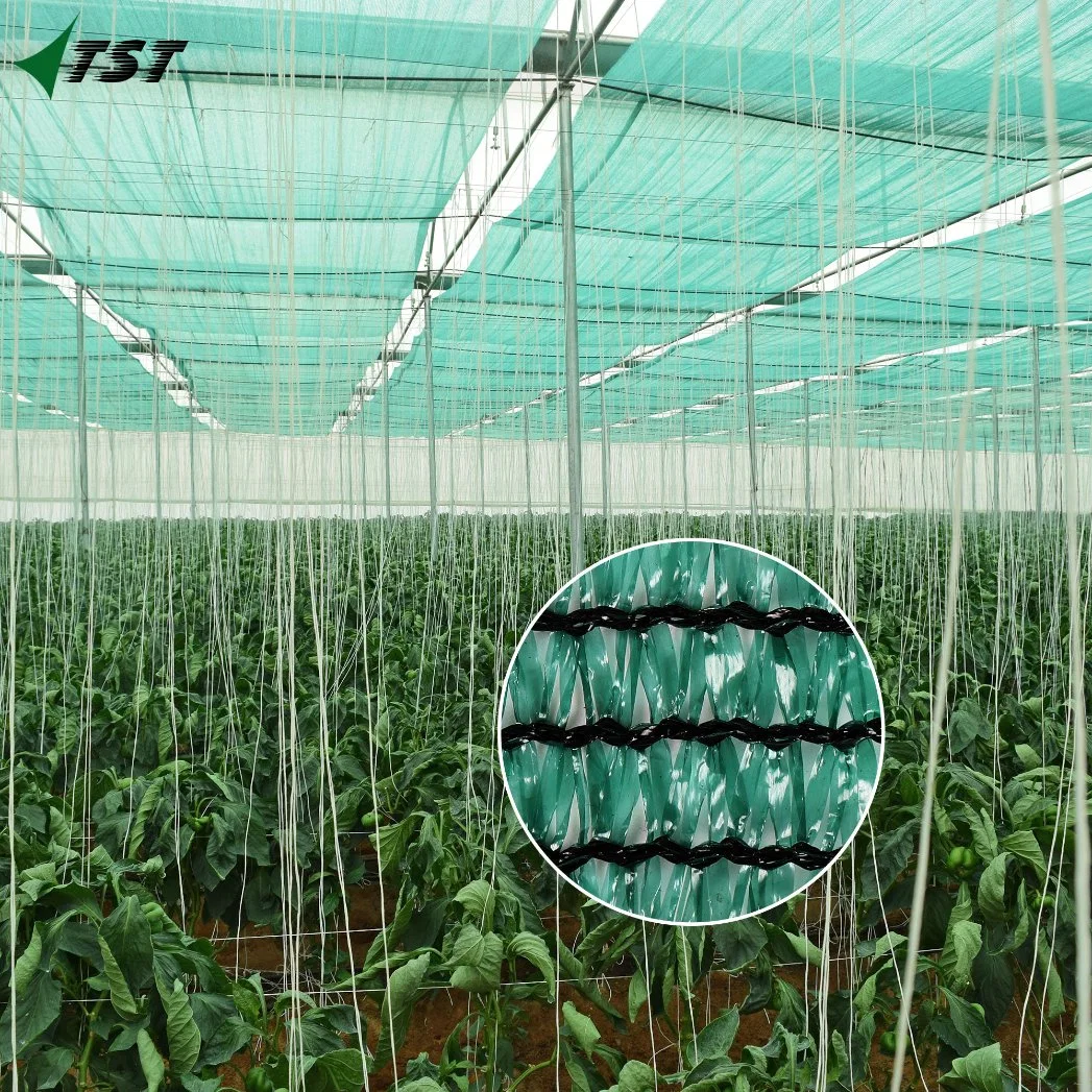 Super Durable UV Protection Strong Outdoor Mono Sun Shade Net for Greenhouse Plant Protection