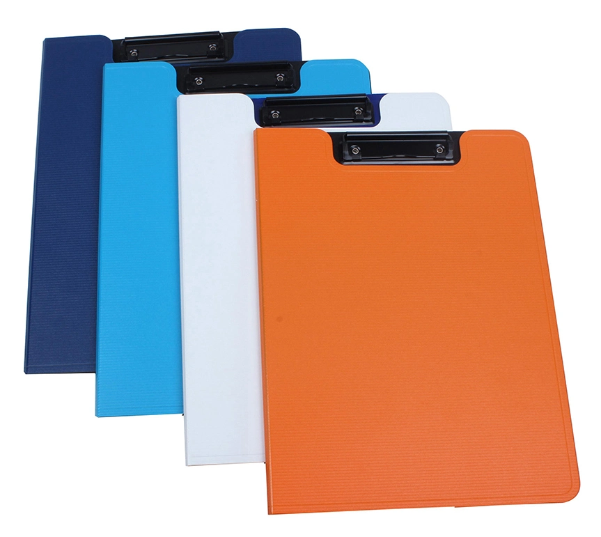 Stationery Supplier All Kinds of PP Foam File Folders