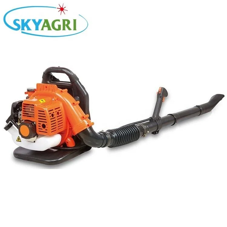 Roads Clean Blower Snow Blower Hand-Held Blower Petrol Engine