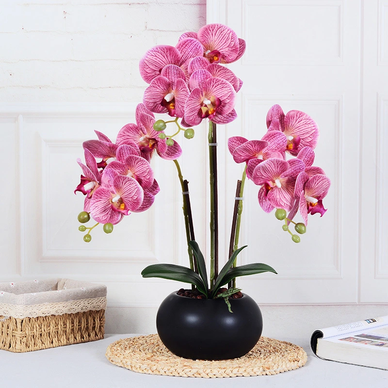 Factory Direct Sale Real Touch Colorful Artificial Orchid Flower Bonsai Fake Orchid