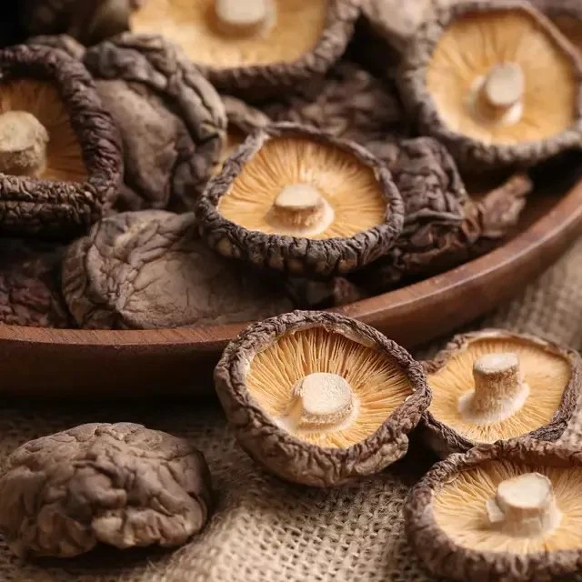 Hot Sale de haute qualité séchées organiques séchés champignon shiitake