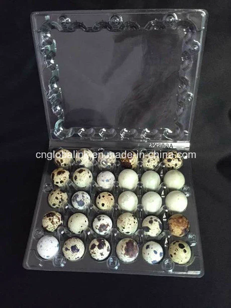 Clamshell Bilster Einweg-Kunststoff-Wachtel Egg Pack 30 Slots