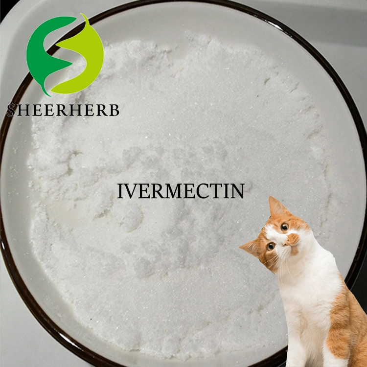 Großhandel/Lieferant hochwertige Rohstoffe Pulver CAS 70288-86-7 Bulk Ivermectin Bester Preis