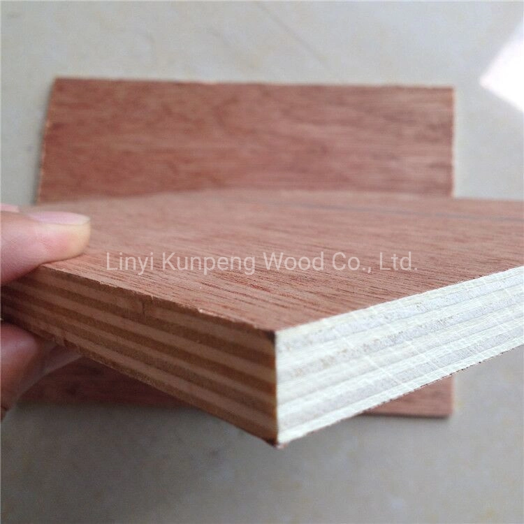 High quality/High cost performance  Commercial Plywood Bintangor/Okoume/Birch/Pine Faced Plywood