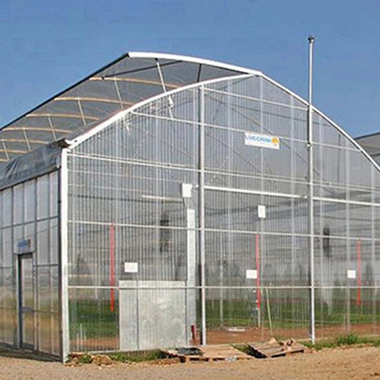 Low-Cost Polycarbonate Greenhouse, Single-Span Multi-Span Garden