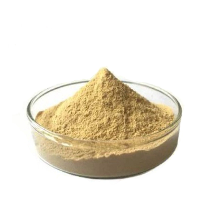 Schizochytrium Algae Powder 10% 18% Schizochytrium Powder