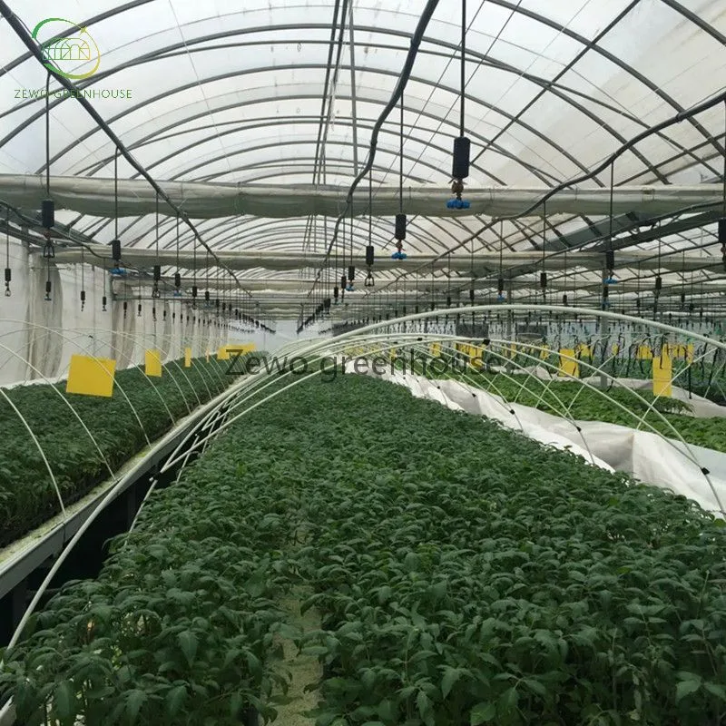 Hot Selling Single Span Solar Agriculture Greenhouse