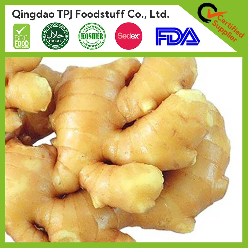 Air Dry Fresh Frozen Ginger with New Crop 2023 Gingers