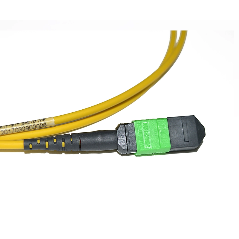 Om3/Om4 MPO Connector Patch Cord 12 Fiber MPO Trunk Cable 8/12/24f MTP MPO Cable