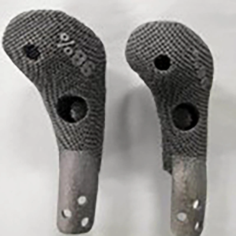 Rotary Hinge Knee Prosthesis System with Maximum Detachment Prevention