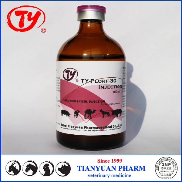 Animal Medicine Florfenicol for Horse Cattle Sheep Health Cure