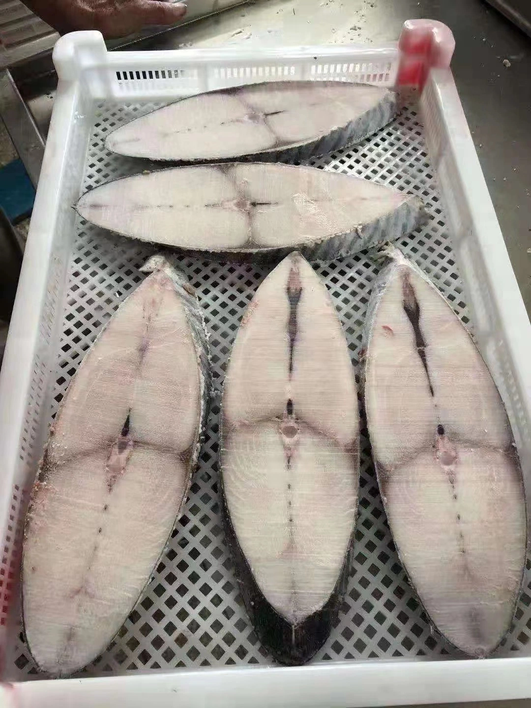 Pangasius filete congelado de filete de fletán Rendimiento de alta calidad/alto costo de la platija Mariscos Pescados