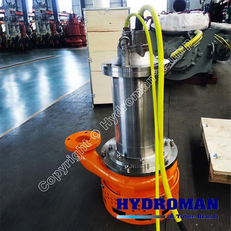 Submersible Slurry Stainless Steel Pump with High Efficient for Coal Mine